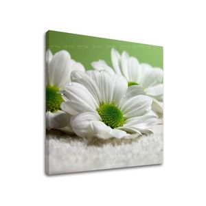 Obraz na stenu KVETY 30x30 cm vyobraziť
