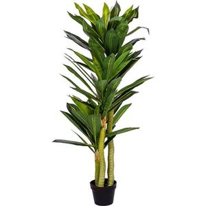 PLANTASIA 85196 Umělý strom Dracaena 120 cm, 81 listů vyobraziť