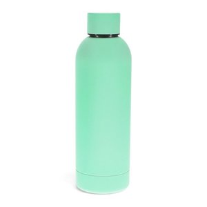Cestovná fľaša z nehrdzavejúcej ocele v mentolovej farbe 500 ml – Rex London vyobraziť