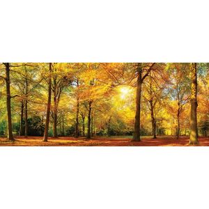 Euroart SKLENENÝ OBRAZ, krajina a príroda, 50/125 cm vyobraziť