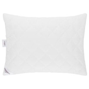 Sleeptex VANKÚŠ, 70/90 cm vyobraziť
