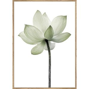 Monee UMELECKÁ TLAČ, kvety, 51, 2/71, 2 cm vyobraziť