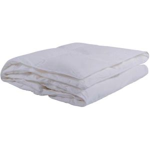 Sleeptex CELOROČNÁ PRIKRÝVKA, 220/140 cm, vyobraziť