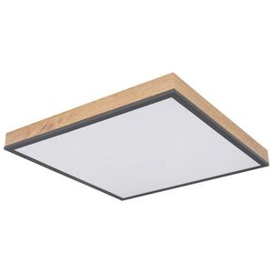 Globo STROPNÉ LED SVIETIDLO, 45/45/6, 5 cm vyobraziť