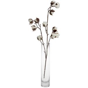 Leonardo VÁZA, sklo, 30 cm vyobraziť