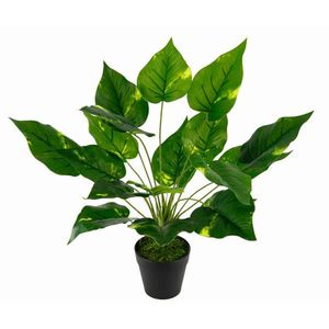 POTOSOVEC vyobraziť