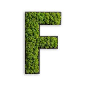 MACHOVÝ OBRAZ vyobraziť