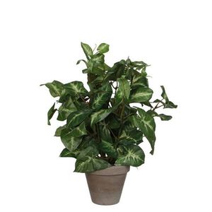 UMELÁ RASTLINA 35 cm vyobraziť