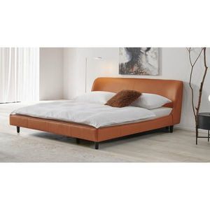 Livetastic ČALÚNENÁ POSTEĽ, 180/200 cm, hnedá vyobraziť