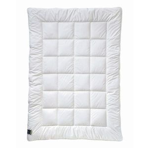 Billerbeck ZIMNÁ PRIKRÝVKA, 155/220 cm, polyester vyobraziť