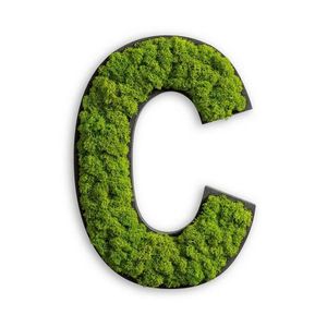 MACHOVÝ OBRAZ vyobraziť