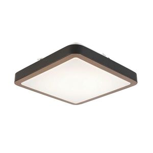 Novel STROPNÉ LED SVIETIDLO, 37/37/8 cm vyobraziť