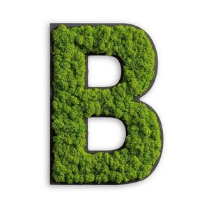 MACHOVÝ OBRAZ vyobraziť