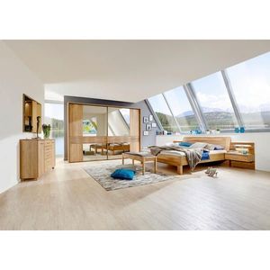 Dieter Knoll SPÁLŇA, farba duba vyobraziť