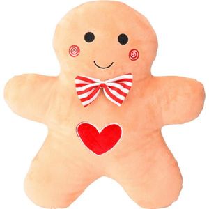 DEKORAČNÝ VANKÚŠ 37/43 cm vyobraziť