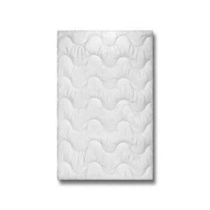 John Cotton ZIMNÁ PRIKRÝVKA, 155/220 cm, polyester vyobraziť