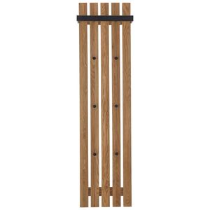 VEŠIAKOVÝ PANEL, prírodná farba, čierna, dub, 40/150/22 cm vyobraziť