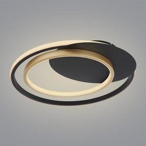 Stropné svietidlo LED 48438-36 3000-6000K D48 vyobraziť