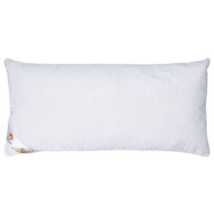 LIVARNO home Vankúš Polygiene®, 40 x 80 cm vyobraziť