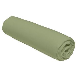 TODAY Napínacia plachta z bavlny Renforcé, 140 x 200 cm (zelená) vyobraziť