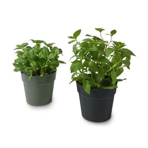 Obal na kvetináč vyobraziť