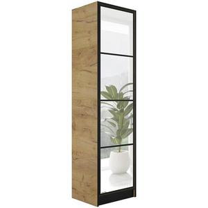 Skriňa Eden 1d 53 Dub Craft Zlatý 1 vyobraziť