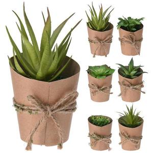 Kvet v papierovom kvetináči 7X15CM vyobraziť