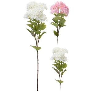 Klaina 6 konárov 60 cm vyobraziť