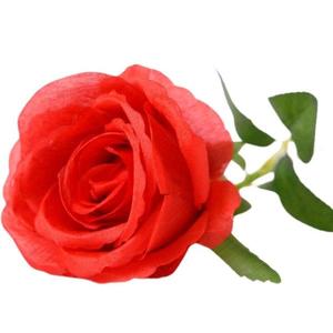 Ruža 54 cm vínová A2020231 vyobraziť