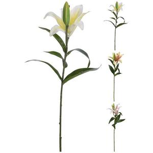 85KK 318800230 LILIA 59CM 3DAS vyobraziť