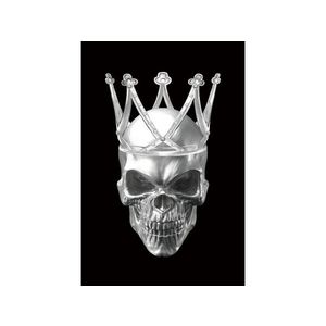 Obraz Skull 80x120 černý/stříbrný vyobraziť
