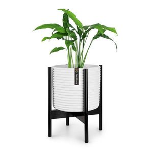 Fox & Fern Zeist, stojan na rastliny, 2 výšky, kombinovateľný, zásuvný dizajn, prírodný vyobraziť