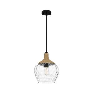 Elstead Quoizel QZ-ROYER-1P-MBK - Luster na tyči ROYER 1xE27/60W/230V pr. 30, 2 cm QZ-ROYER-1P-MBK vyobraziť