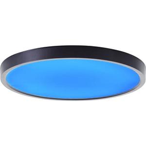 Brilliant - LED RGBW Stmievateľné stropné svietidlo LOTTI LED/16W/230V + DO G80650/76 vyobraziť