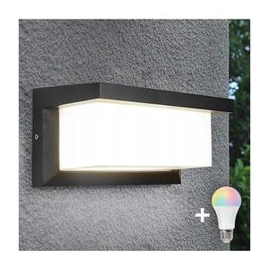 LED RGBW stmievateľné vonkajšie nástenné svietidlo NEELY 1xE27/9W/230V IP54 antracit BW0296+AI0819 vyobraziť