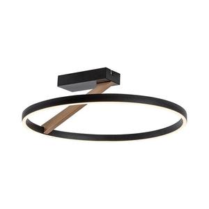 Rabalux 71351 - LED stropné svietidlo RENARA LED/24W/230V 3000K priemer 45 cm 71351 vyobraziť