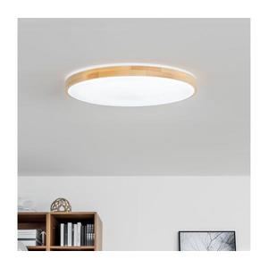 Brilagi - LED stlmiteľné stropné svietidlo PINE LED/60W/230V + diaľkové ovládanie BRLD500-60W/LED/SD vyobraziť
