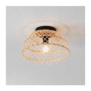 Eglo 43831 - Stropné svietidlo AUSNBY 1xE27/40W/230V 43831 vyobraziť