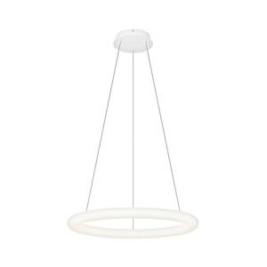Top Light - LED stmievateľný závesný luster na lanku RINGO LED/40W/230V 3000-6500K biela + diaľkové ovládanie Ringo 60Z RC vyobraziť