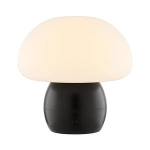 Brilliant - LED Stmievateľná nabíjateľná stolová lampa DUPIS LED/2W/5V 2700K čierna G60230/76 vyobraziť