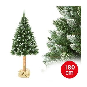 Vianočný stromček na kmeni 180 cm borovica vyobraziť