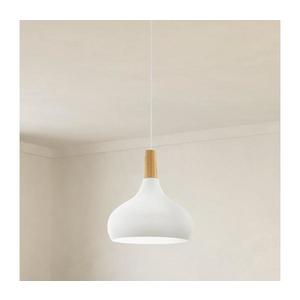 Eglo 901178 - Závesný luster na lanku SABINAR 1xE27/60 W/230 V, pr. 28 cm, biely- 901178 vyobraziť