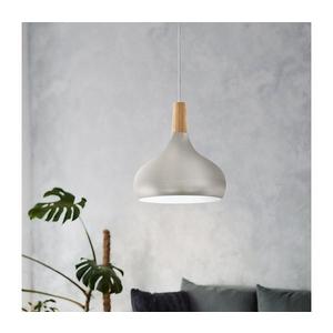 Eglo 901181-Luster na lanku SABINAR 1xE27/60W/230V pr.28cm strieborný 901181 vyobraziť