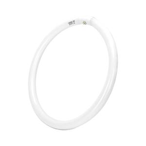 B.V. Žiarivková trubica T9 G10q/40W/230V 6500K - B10104JVH vyobraziť