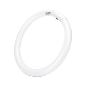 B.V. Žiarivková trubica T9 G10q/32W/230V 6500K - B10104JVG vyobraziť