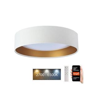 LED Stropné svietidlo SMART GALAXY LED/24W/230V Wi-Fi Tuya biela/zlatá + DO vyobraziť