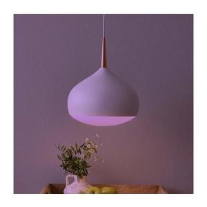 Eglo 97087 - LED RGBW Stmievateľné závesné svietidlo COMBA-C 1xLED/18W/230V 97087 vyobraziť