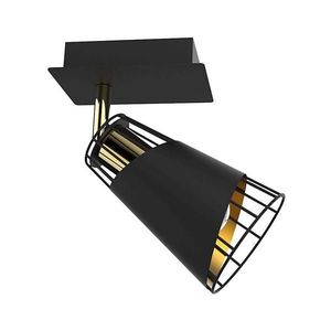 Nástenné bodové svietidlo RICK 1xE14/40W/230V ML5565 vyobraziť