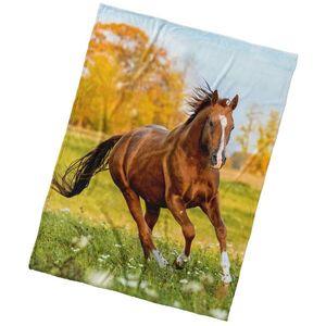 BedTex Deka mikroplyš Ryzák na lúke, 150 x 200 cm vyobraziť