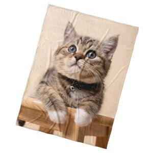 BedTex Detská deka Mačiatko Rolnička, 150 x 200 cm vyobraziť